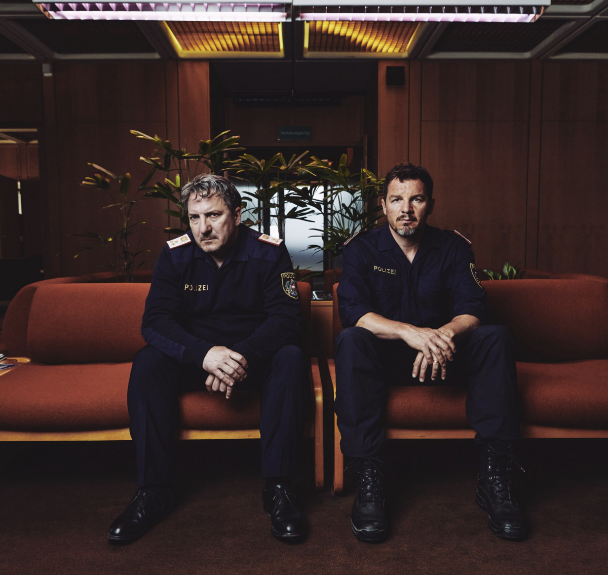 A real-time shot with natural and artificial light balance.