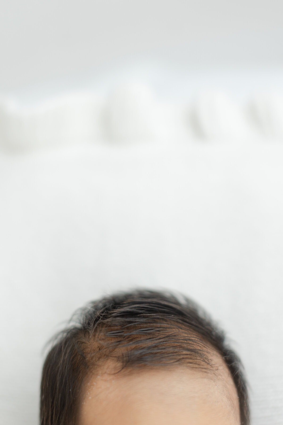 Philadelphia newborn portraits - 5