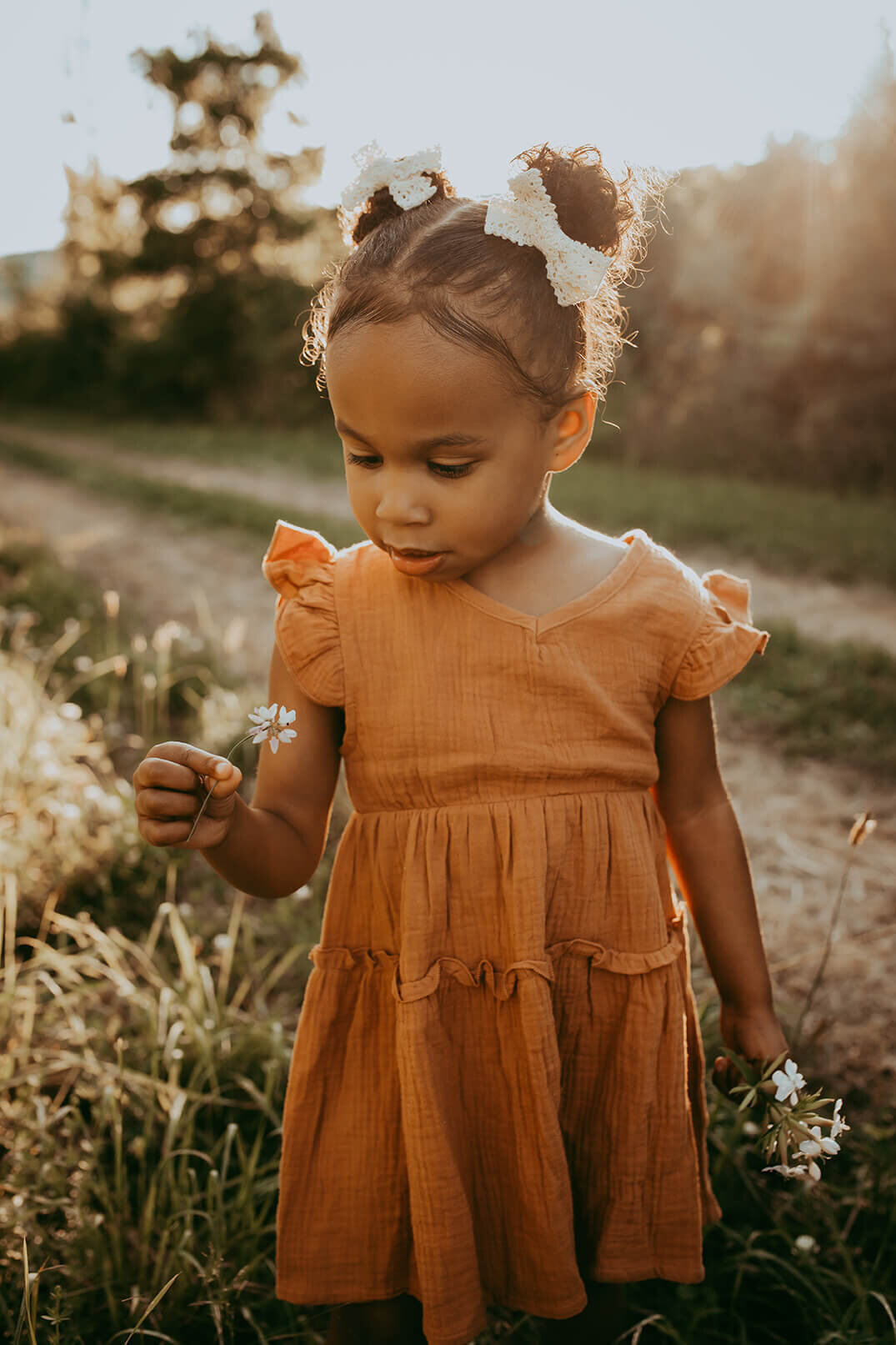 a three year old girl picks a wild flower in a field at sunset