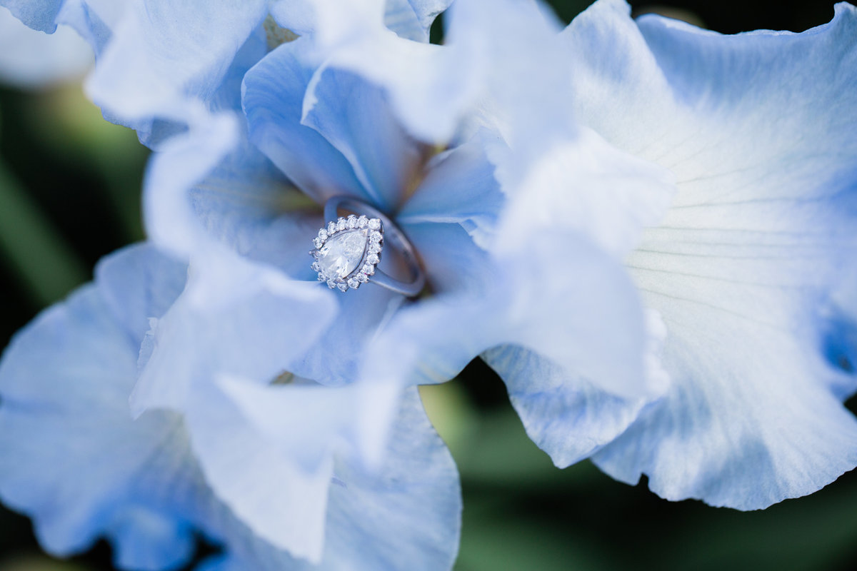 Engagement_Ring_and_Blue_Iris