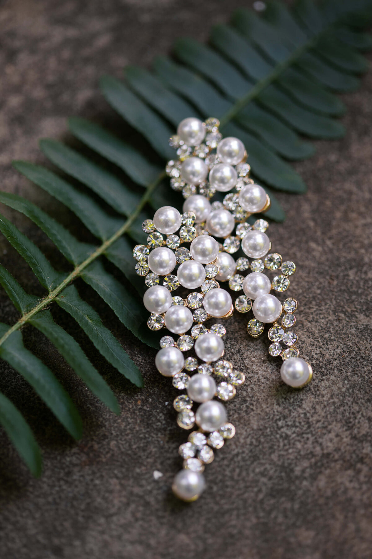 Old-Edwards-Inn-Wedding-6