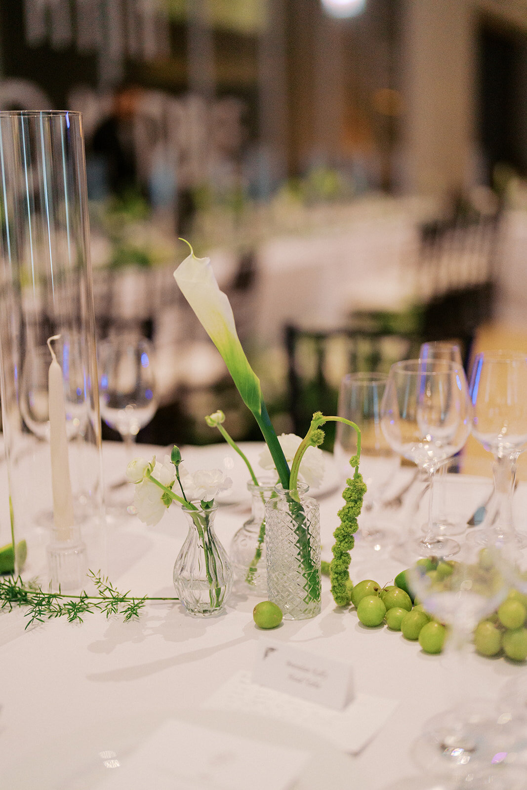 ian-rempel-photography-maddie-sachin-wedding-photos-947