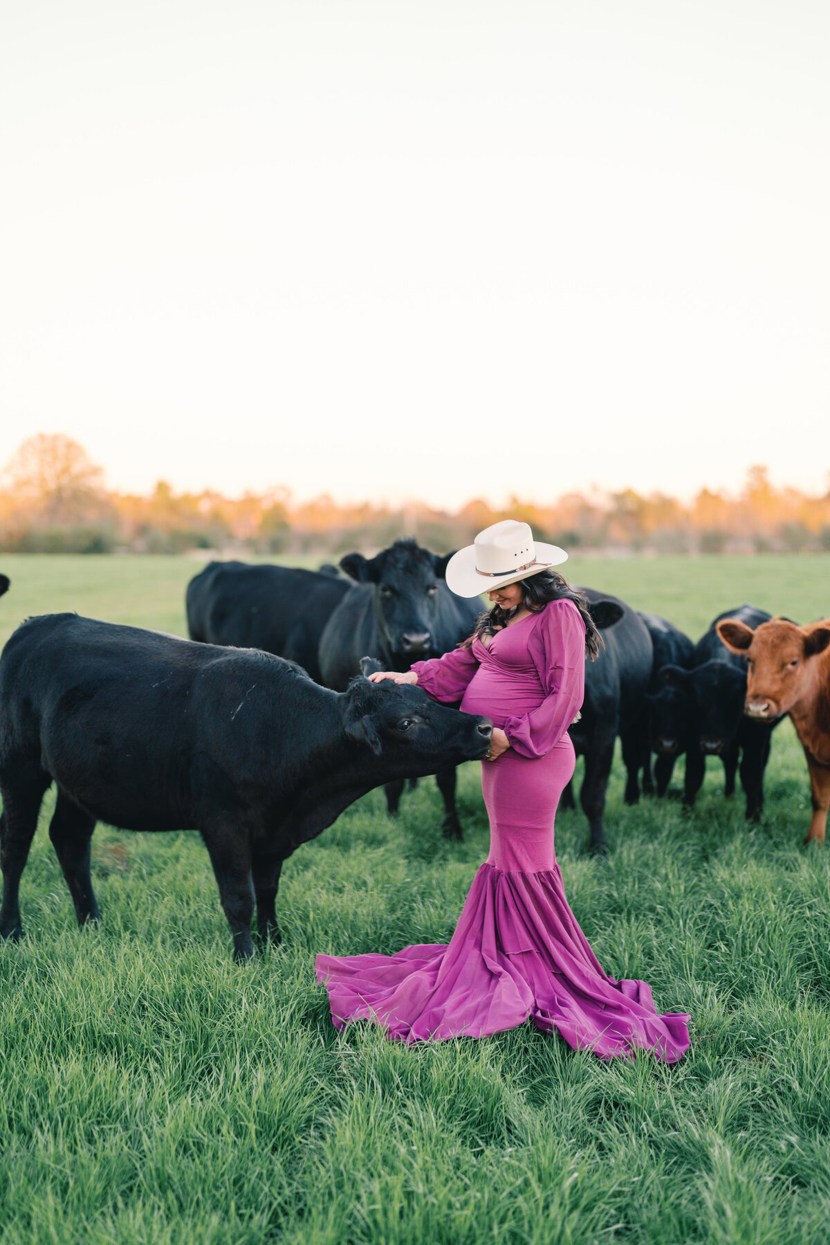 maternity session-00319
