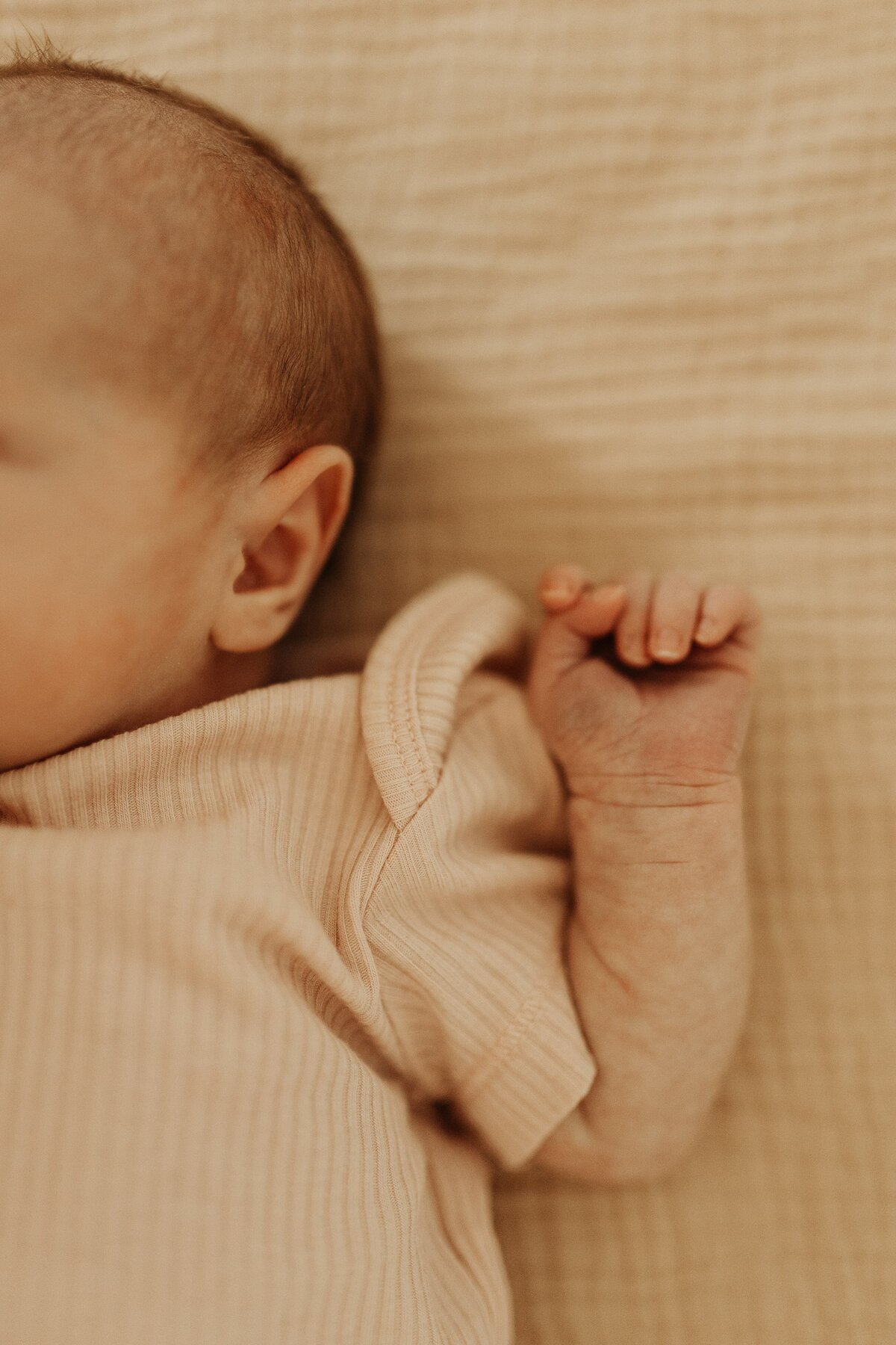 Newbornhelena-montana-family-photographer