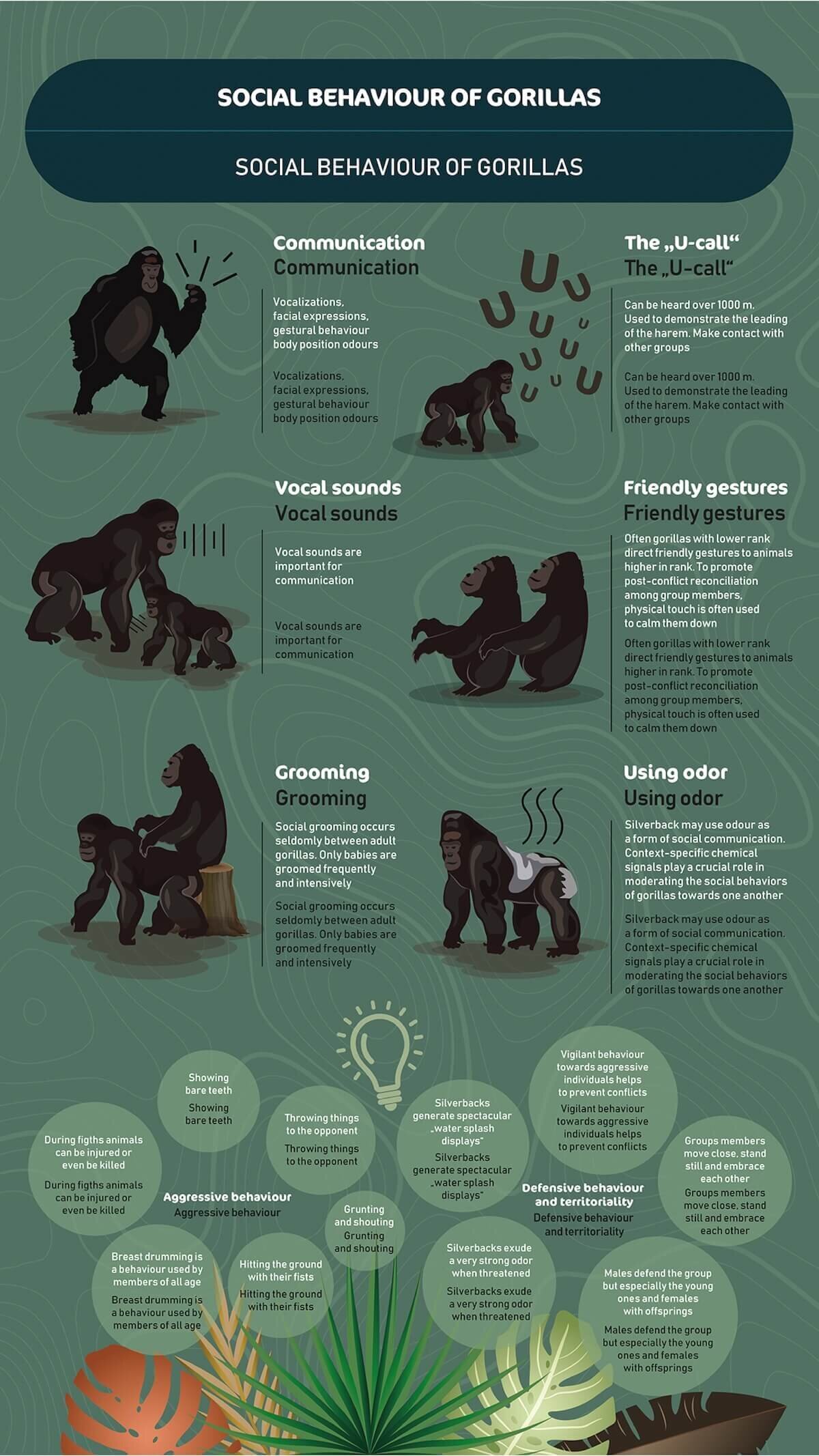 gorilla family-02