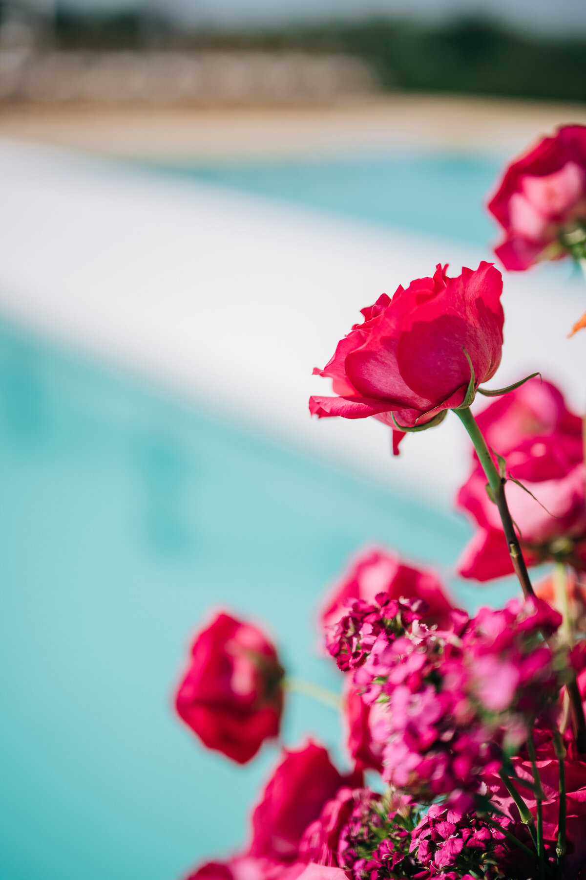 359-janak-jayna-wedding-varna-studios