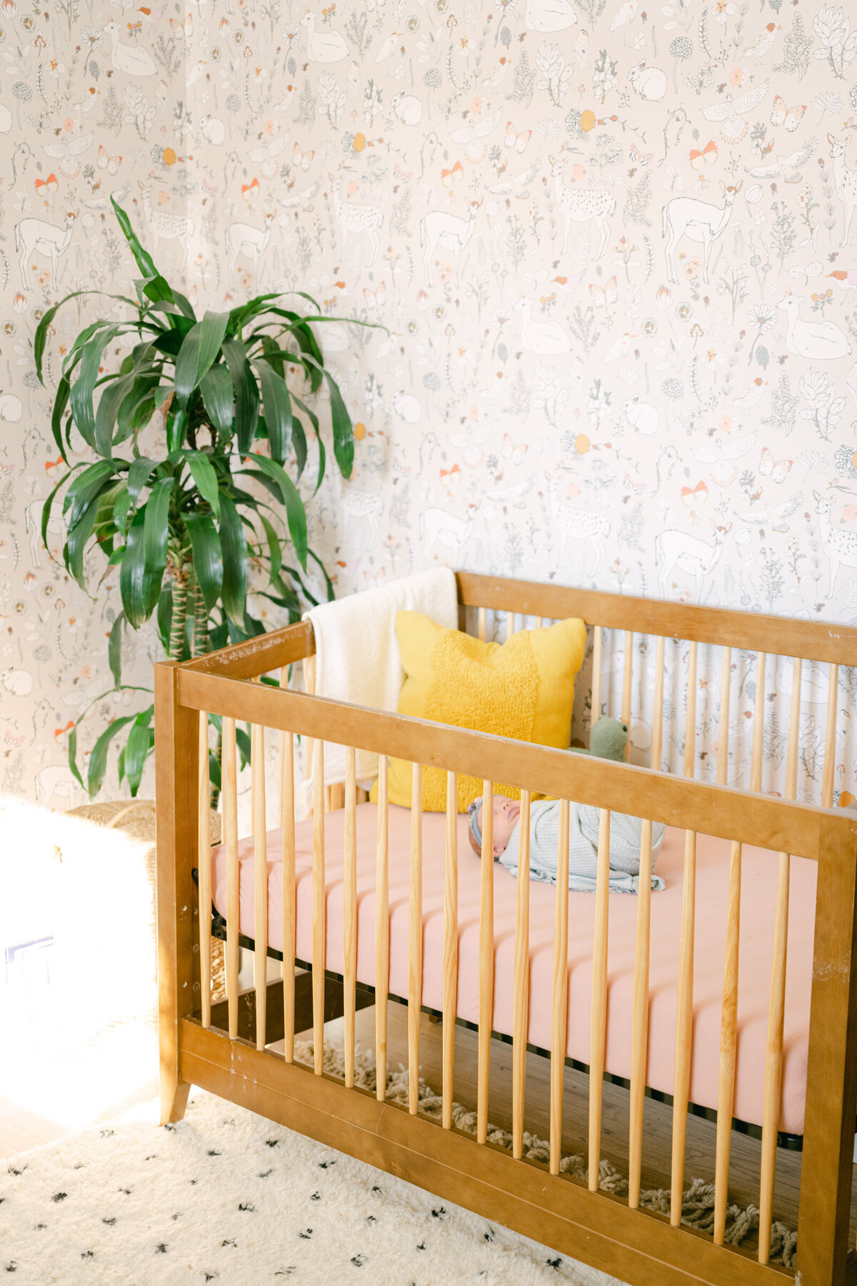 Newborn baby in sleeping in a woodland theme crib during a photoshoot