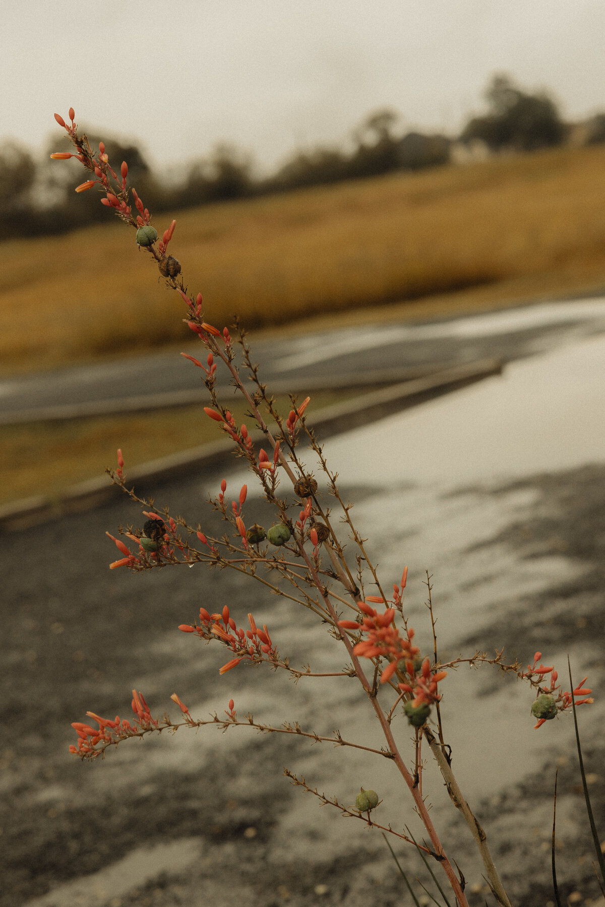 Wommack - 1 Before - Payton Hartsell Photography-16