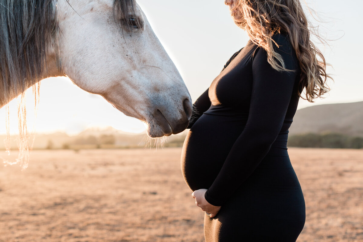 Monterey County Horse Photographer Maternity Photograph