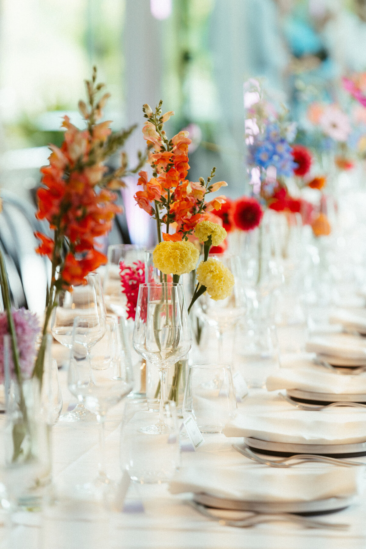 Noa_Jared_Reception-5