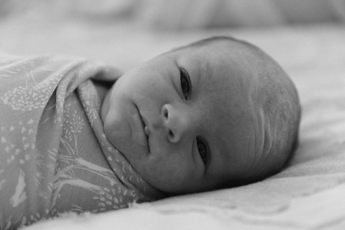 6.9.2025 - The Schultz Family_ Newborn-150