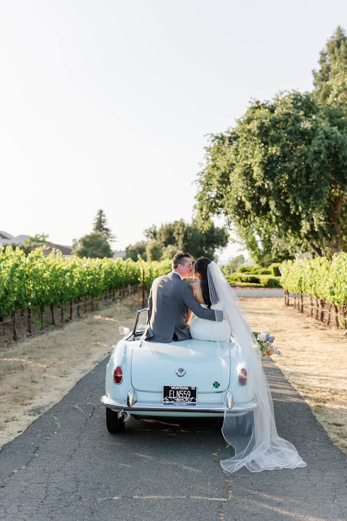 Napa Valley Wedding- Natalie Renee Photography_0092