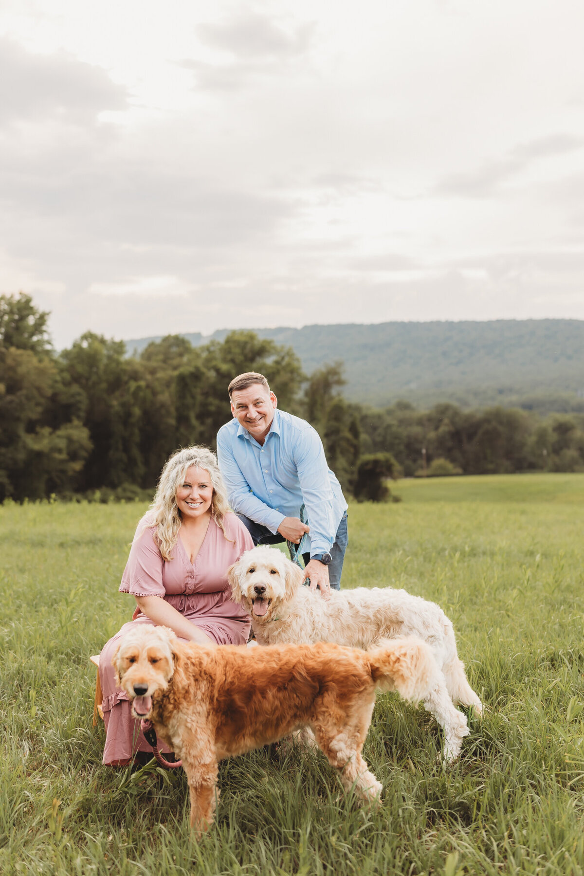 harrisburg-pet-photographer-3