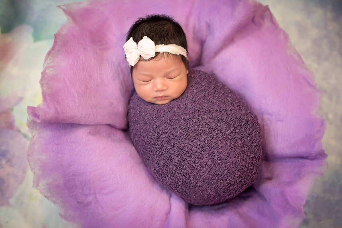 1 - East Brunswick NJ Newborn Photographer Purple Flower