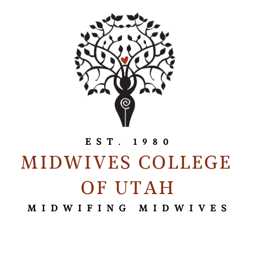 midwives college