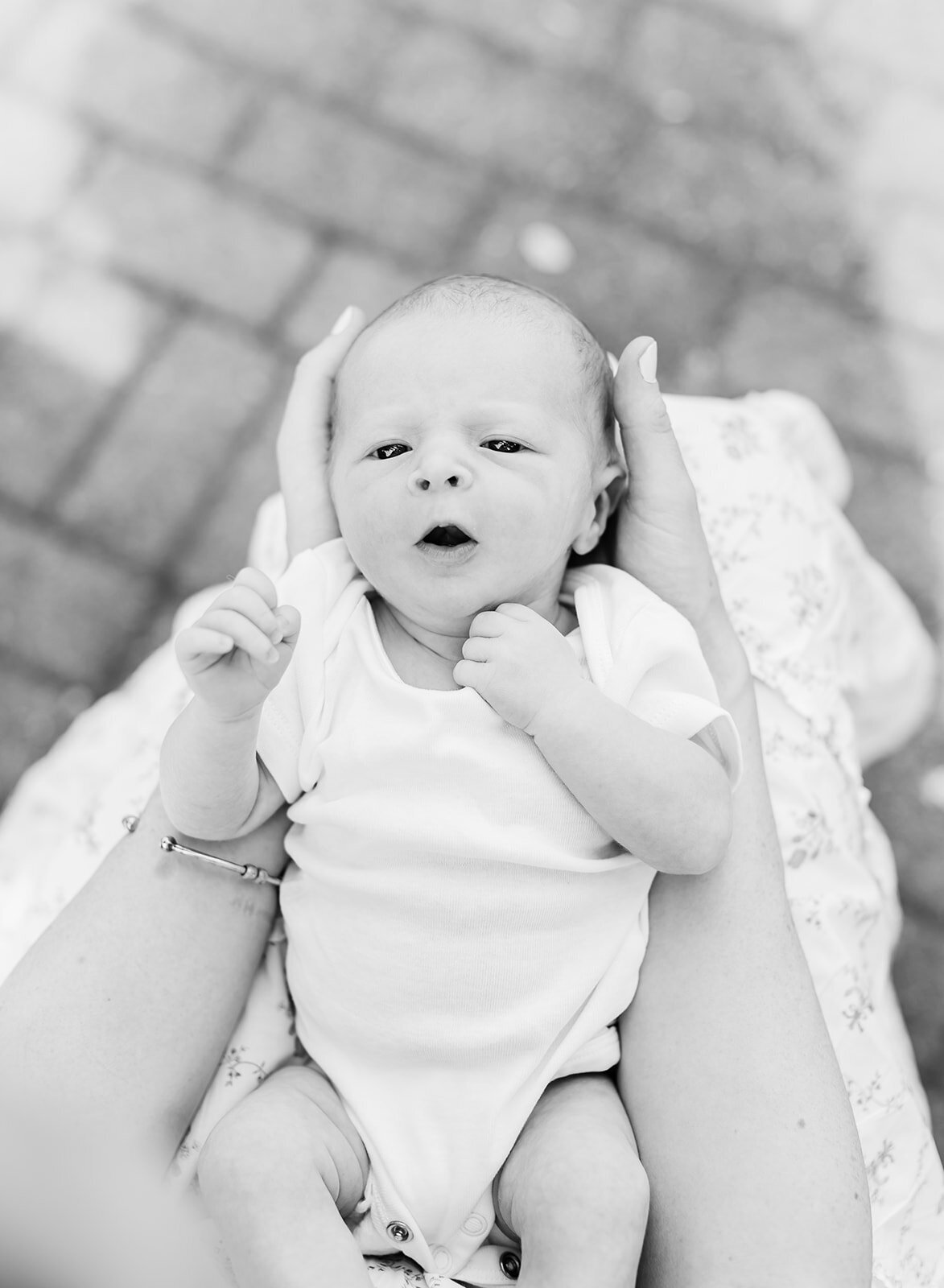 Baby Bentley_308_websize