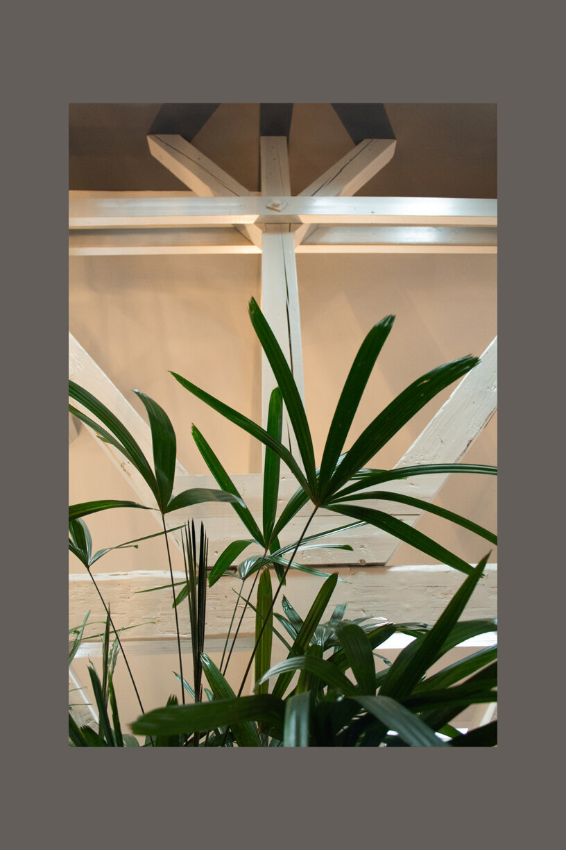 eindresultaat-project-dordrecht-interieurontwerp-monumentaal-appartement-detail-kamerplant