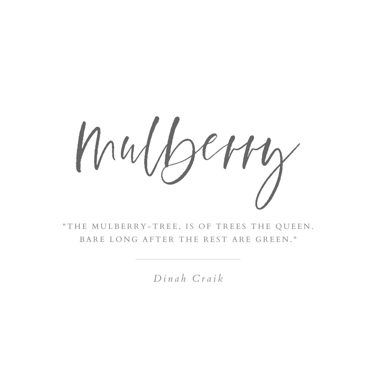 Mulberry_Title Page