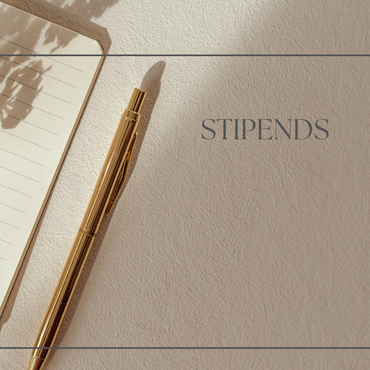 Stipends (Instagram Post)