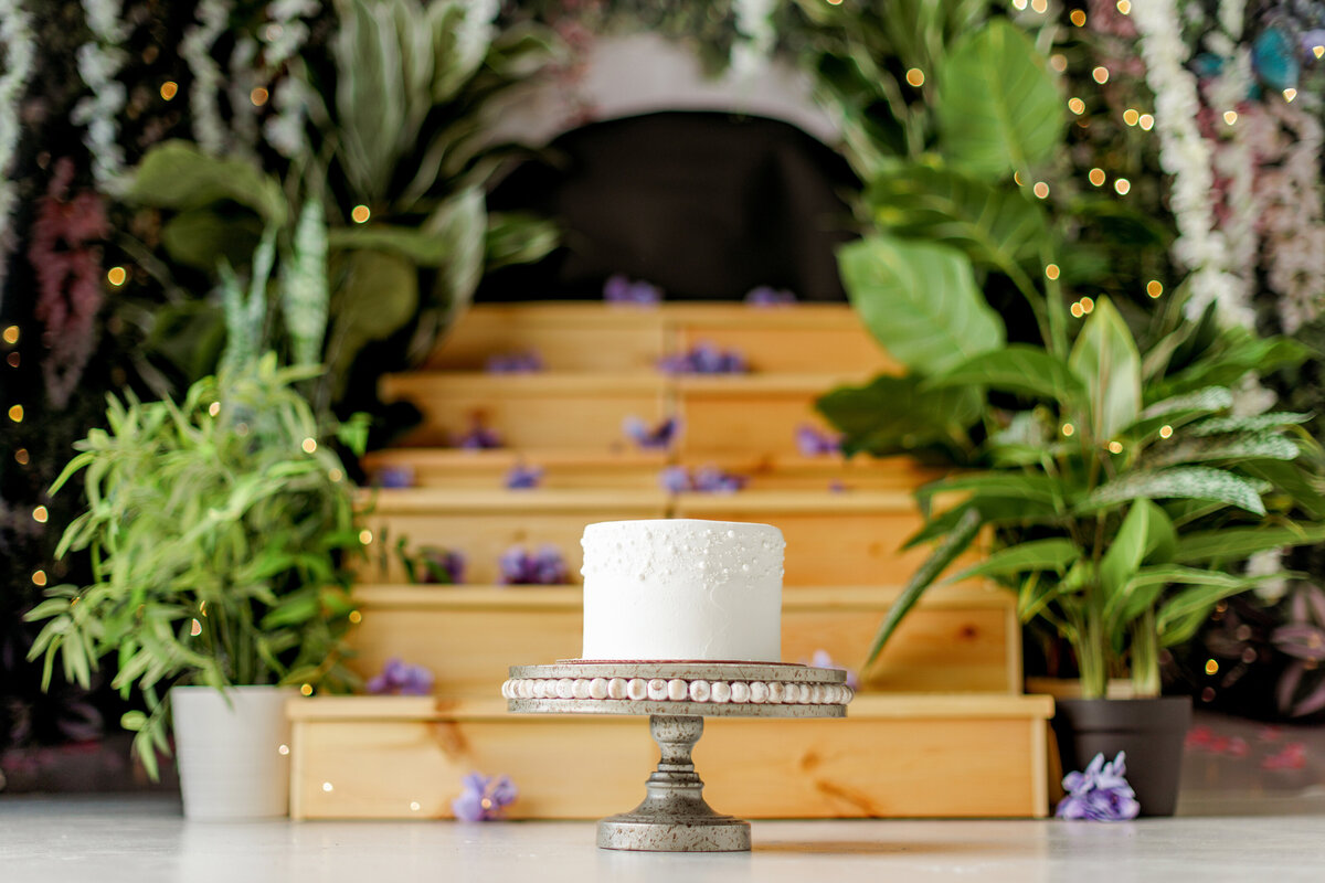 Huntsville AL Cake Smash Photographer