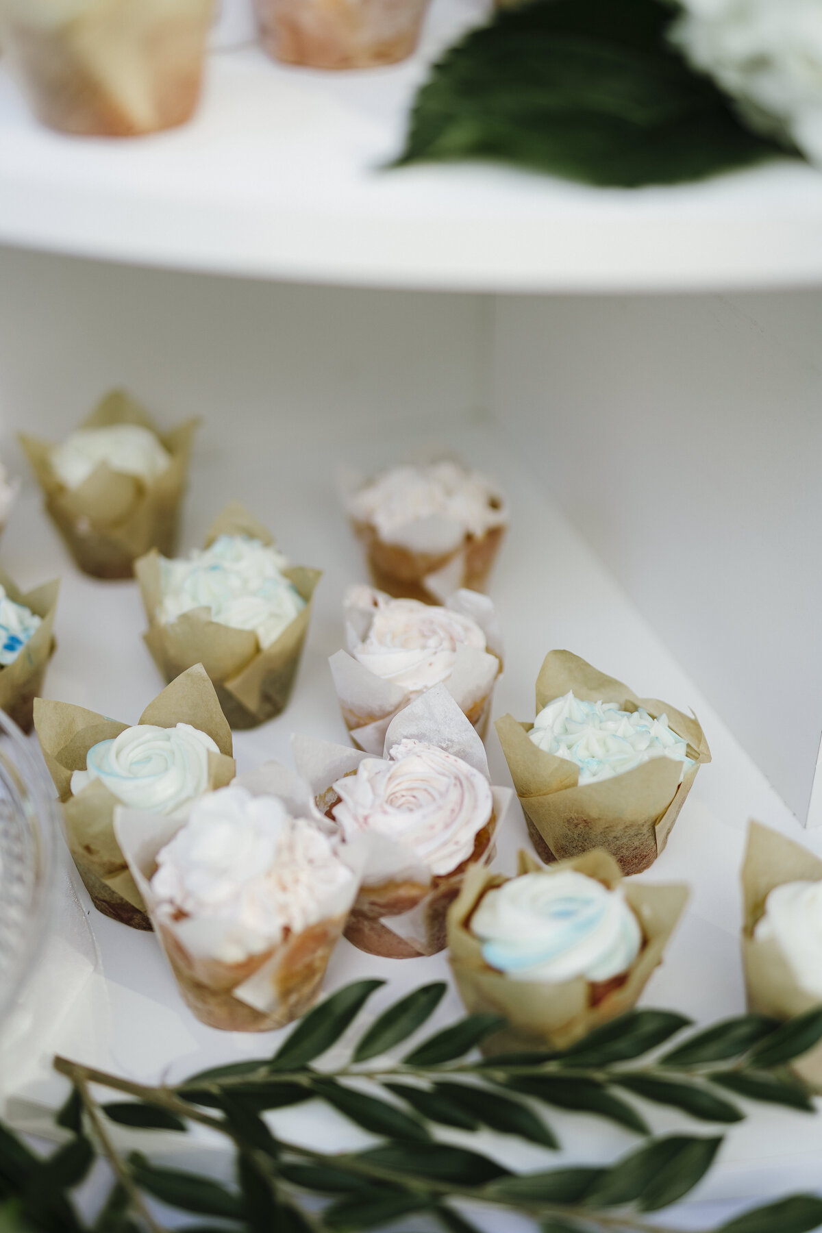 Savannah Georgia Wedding Photographer