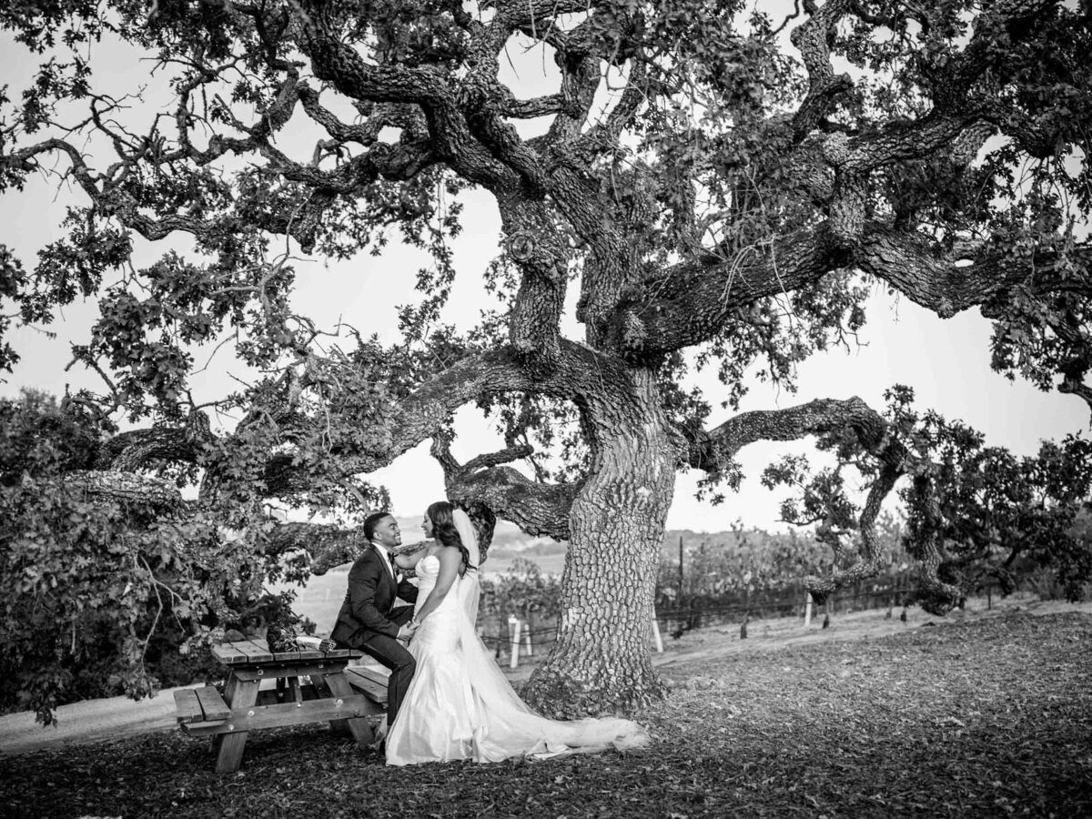 San-Francisco-Bay-Area-Weding-Photographer-Frank-J-Lee-Photography-BK.---27