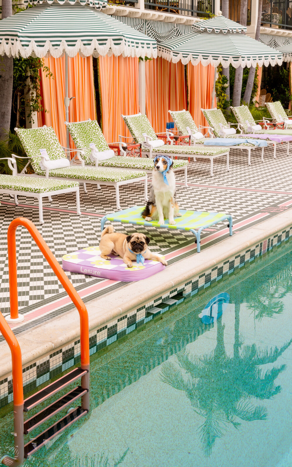 pool deliverables_
