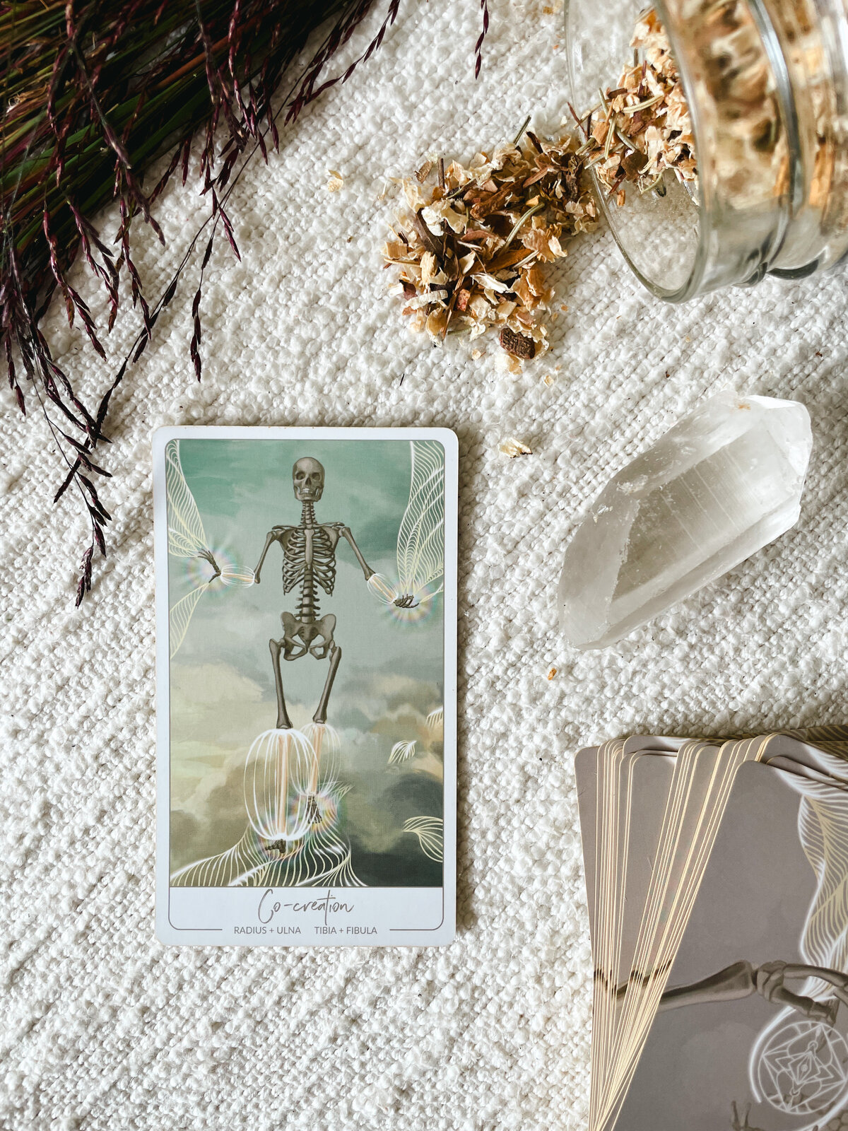 Close up of the "Co-creation" Oracle Card showing a full body skeleton with lines radiating out from the tibia and fibula of the arms and legs