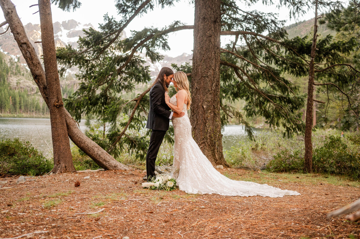 Sardine Lake Elopement Photographer, Sardine Lake Elopement Photos Taken By GOT Photography, wedding photography near me, elopement photography Sardine Lake