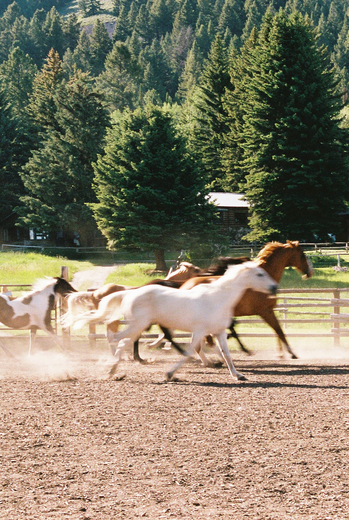 trail-creek-ranch-wedding_2392