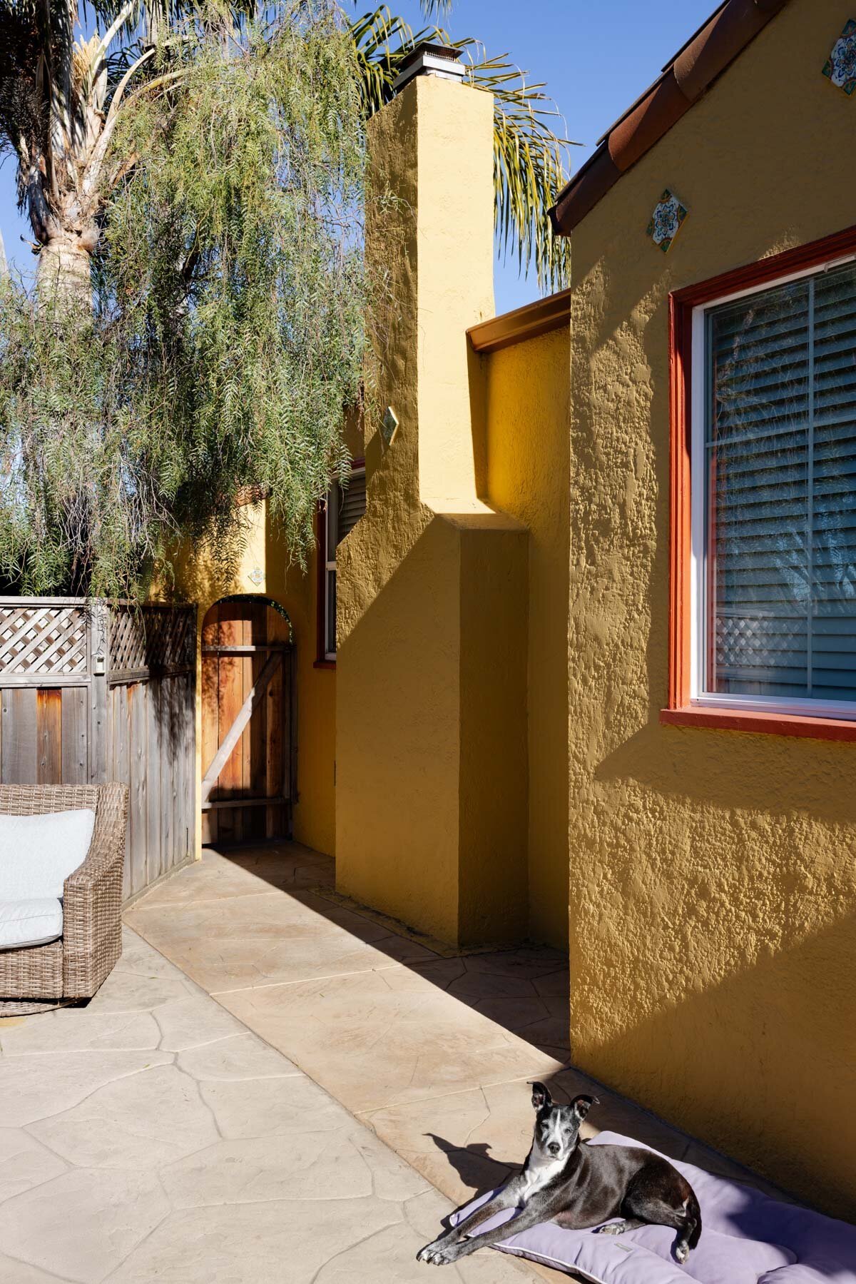 casa-renewal-1