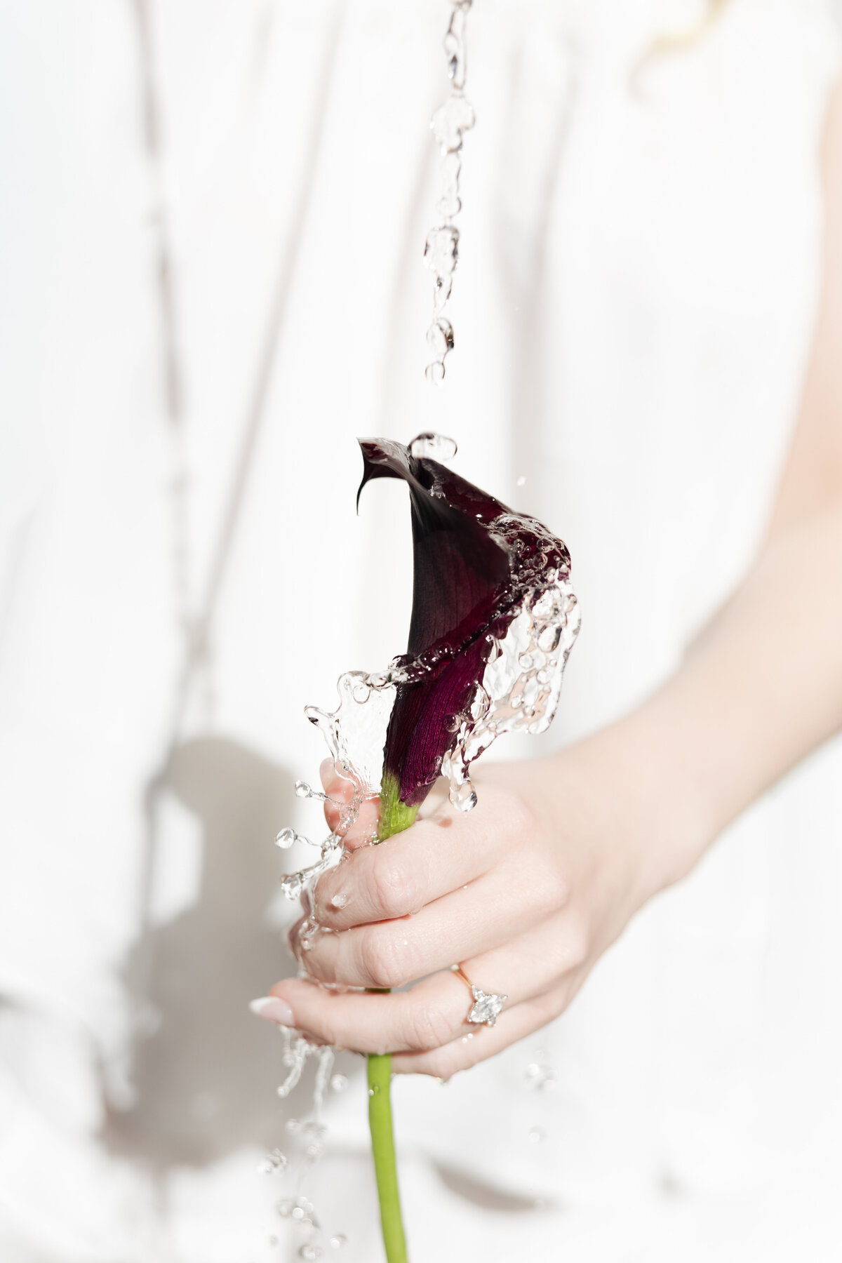 luxury-charleston-wedding-photographer-details-maggie-collazo