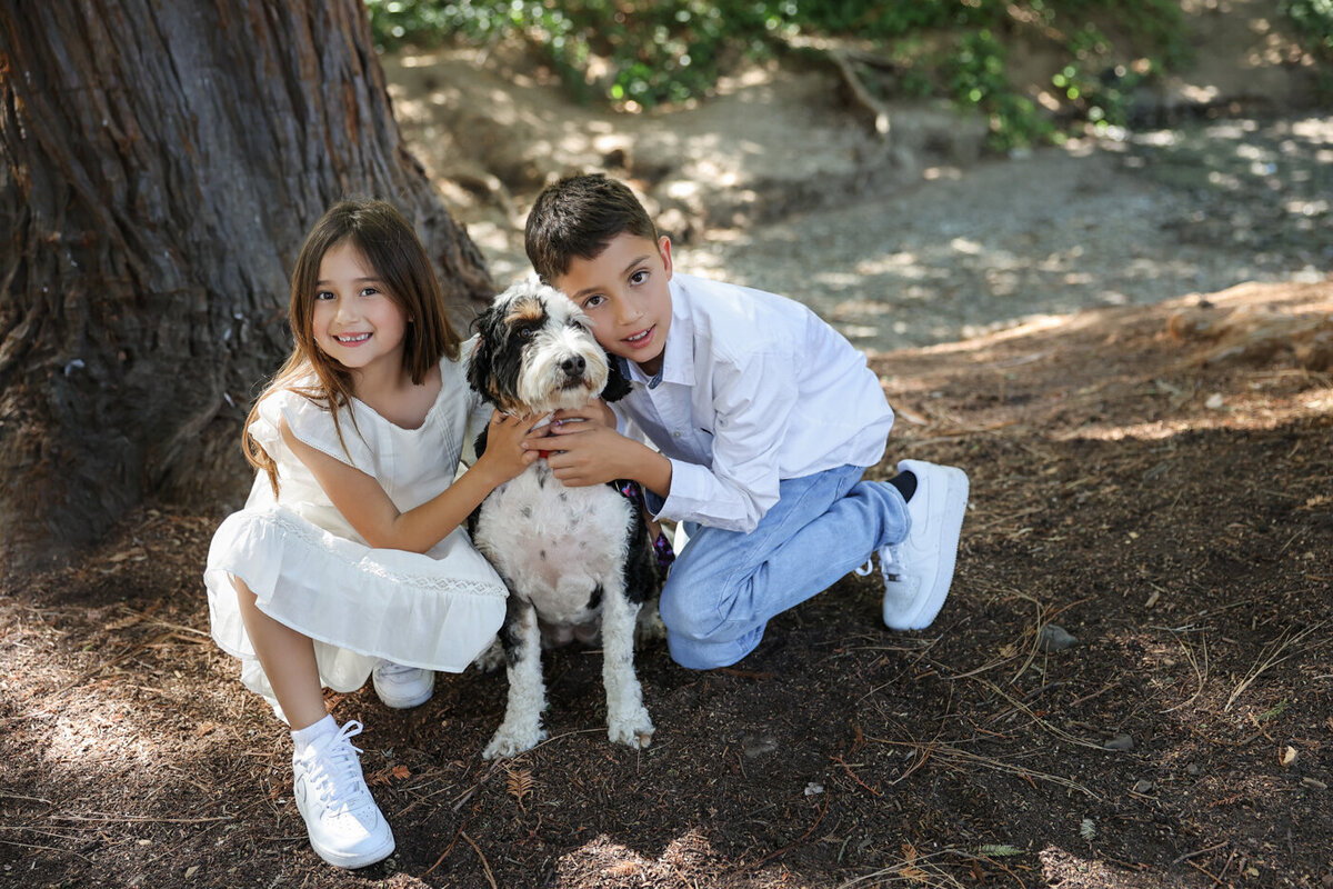 Bay Area Dog photograper--11