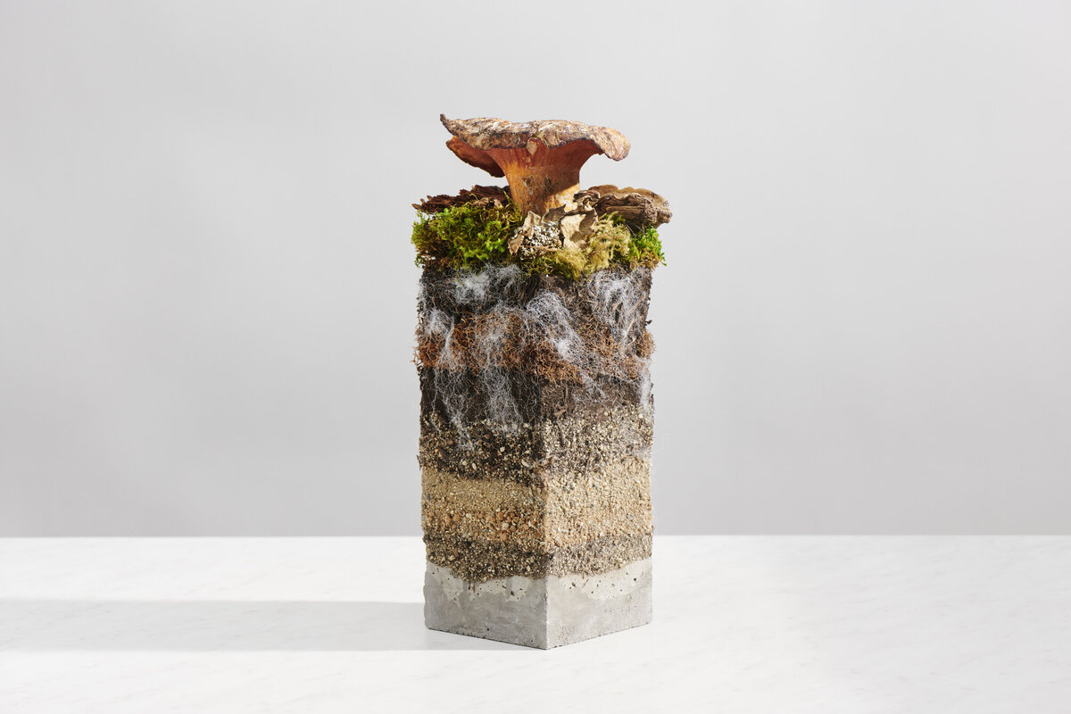 mylo_forestfloor_05_000420_R1_low-contast