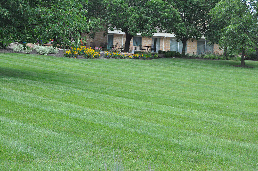 Commercial landscape company project in Kansas City