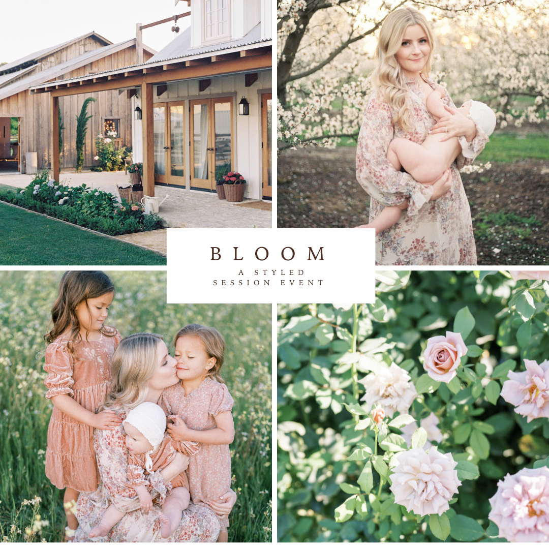 Richmond Newborn and Family  Photographer