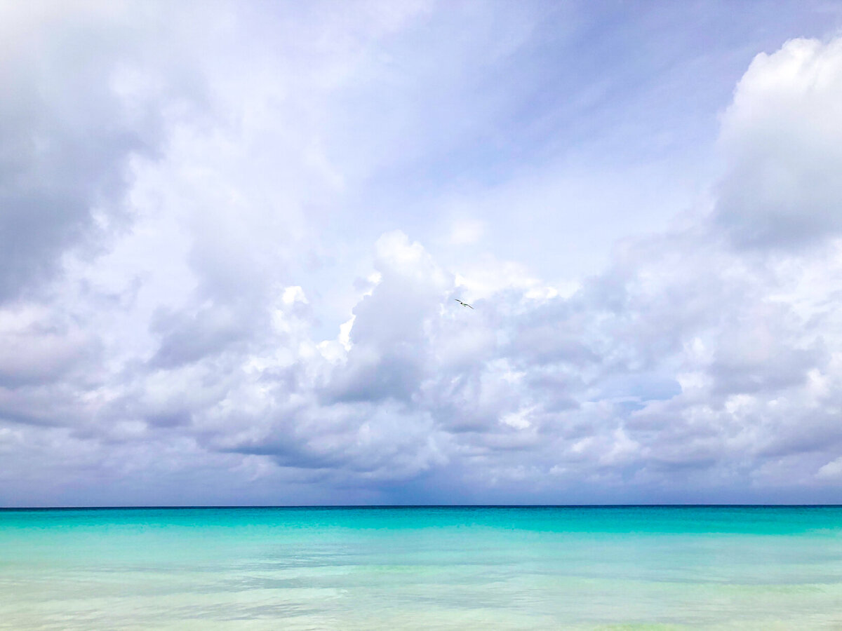 bimini horizon