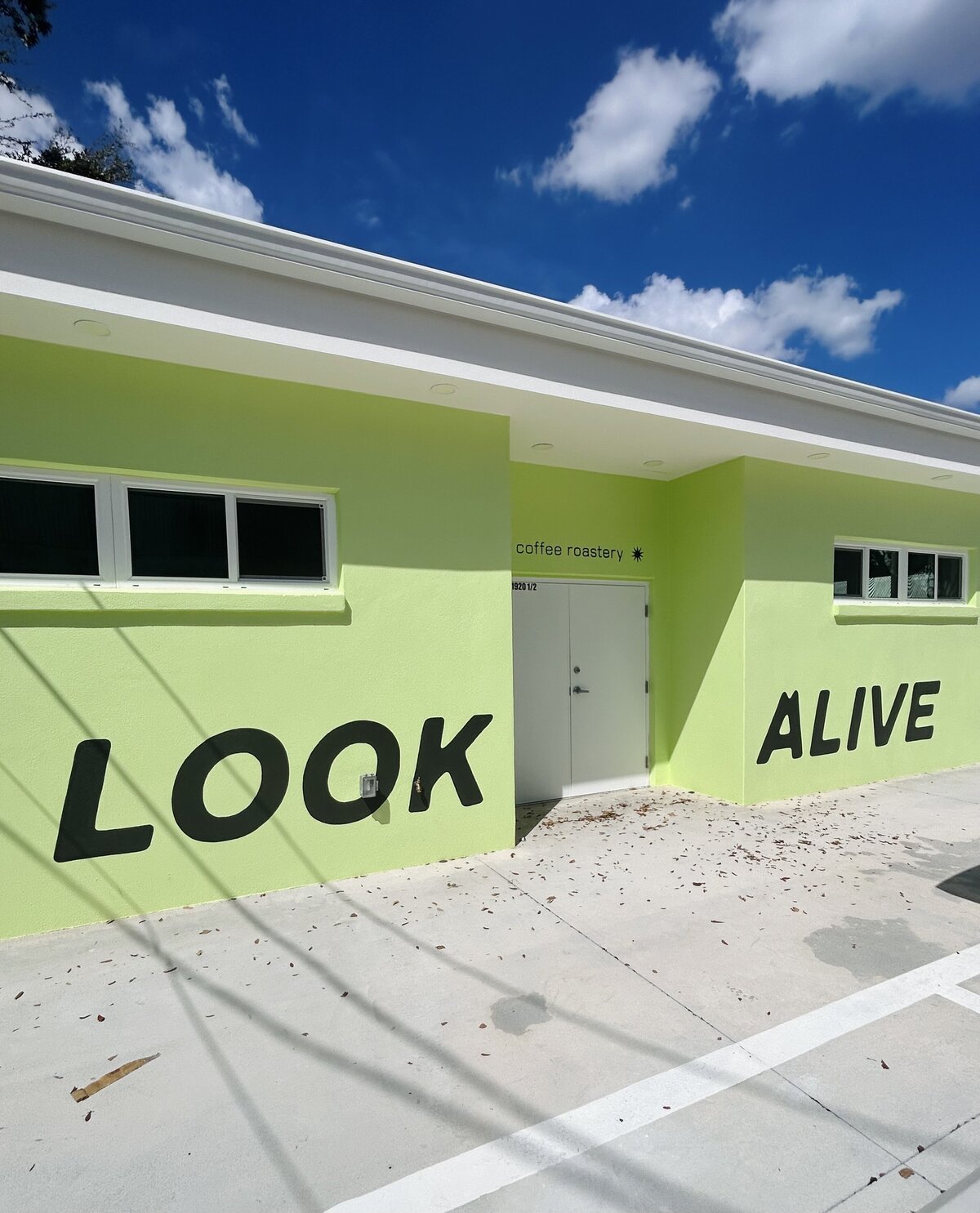 Look Alive Coffee Custom Mural  by Kelly Packard in St. Pete, Florida