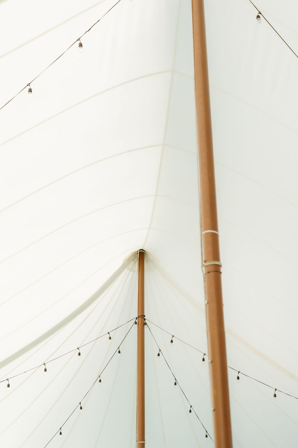 Arrowhead-Hill-Wedding-Michelle-Ben-Sonia-Alexandria-Photography-481