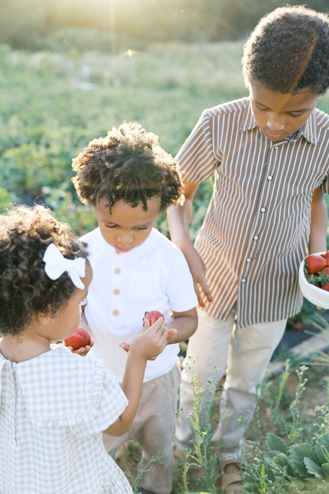 Kid_Activities_Sacramento-kelsey-krall-photography-27