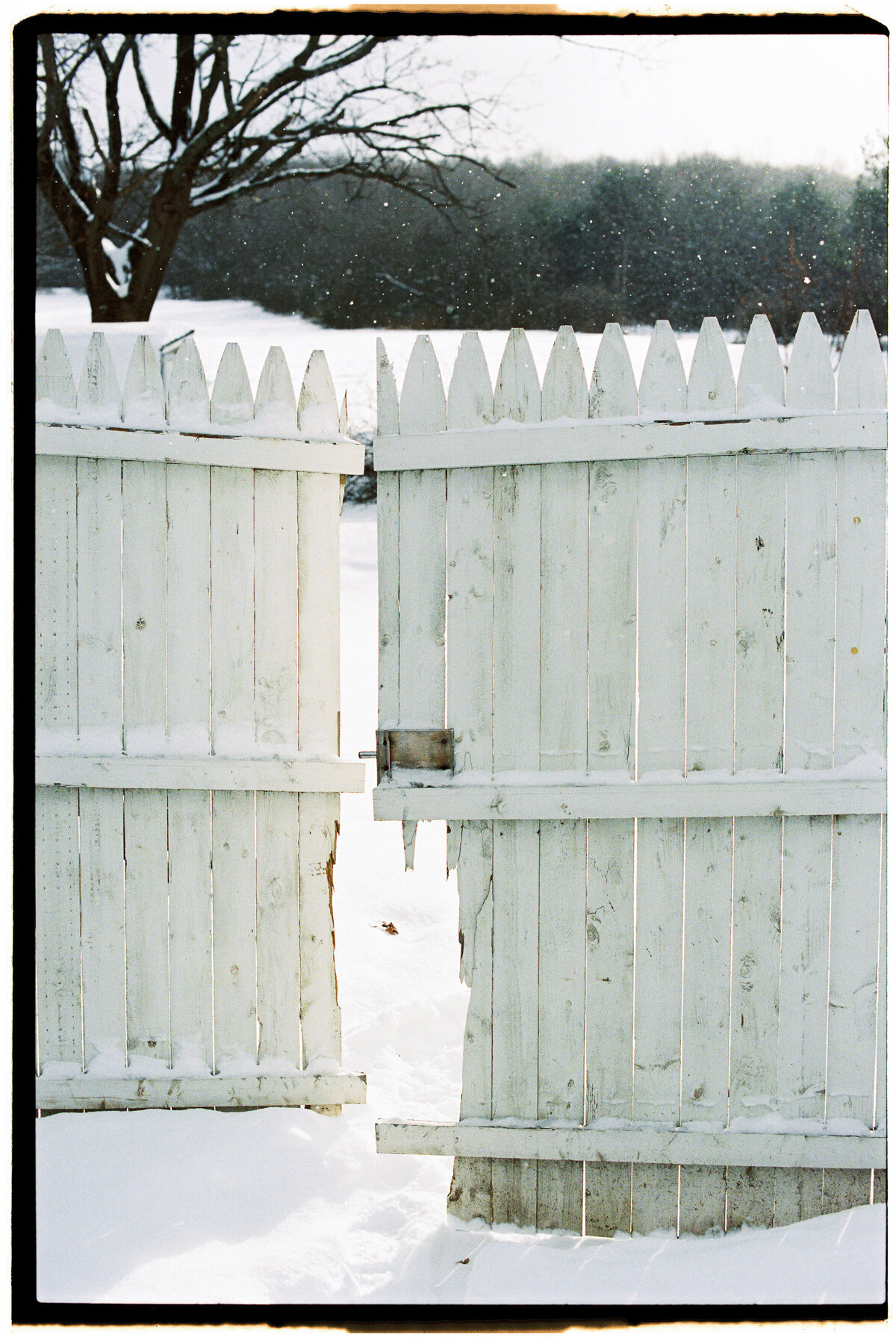 catskills-new-york-jamie-shields-photography-7