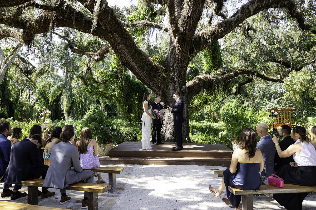 0076-cara-dehart-lewis-photography-del-favero-oasis-tampa-elopement-in-florida-chantilly-chic-celebrations