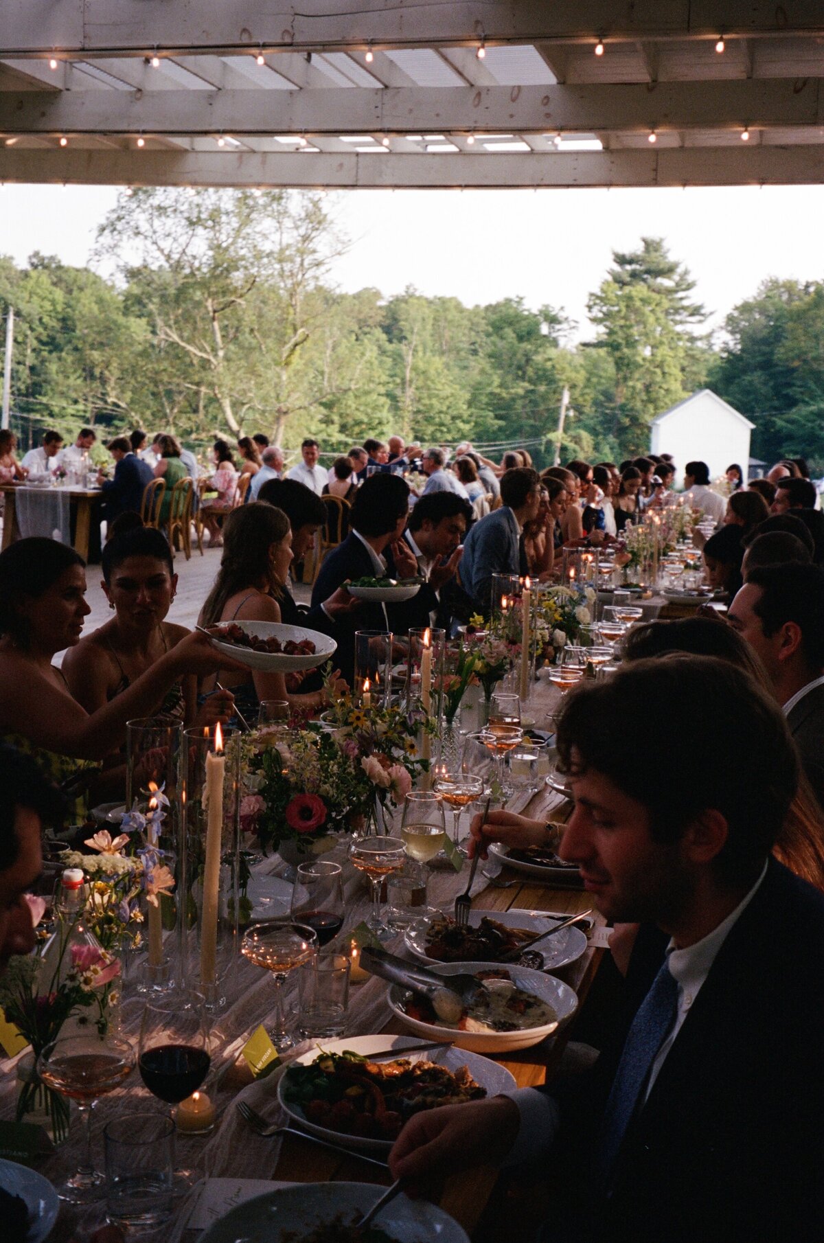 kodak_professional_portra_400_08_19_2024_000126360011