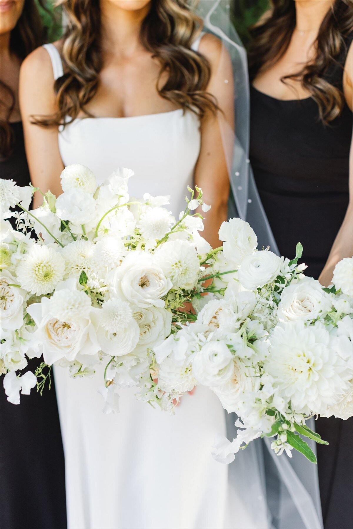 viansa-wedding-sonoma-emma-taylor-ashley-carlascio-photography-0558