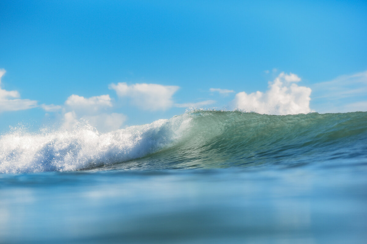SOUTH PADRE ISLAND SURFING 77-11