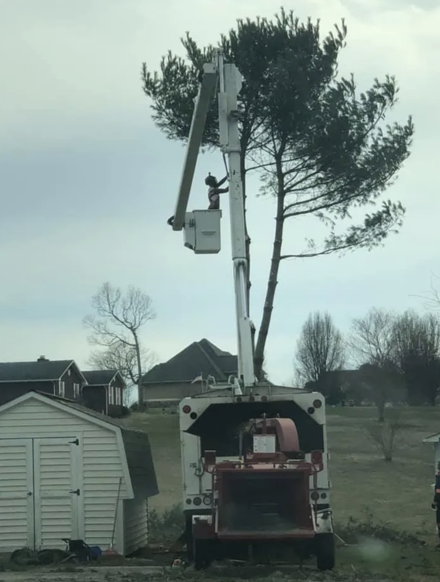 Screenshot 2025-11-05 at 5.54.01 PM