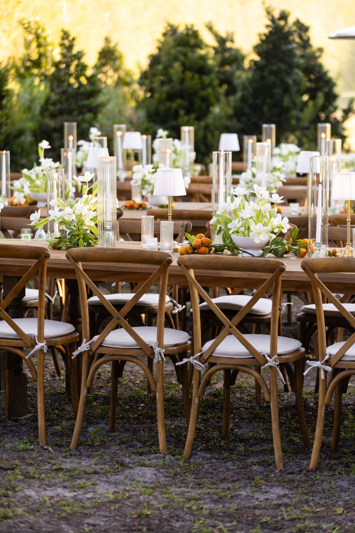 010_01-09-25_Good-HammondWelcomeParty