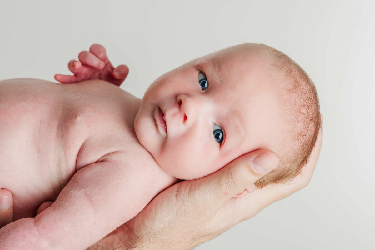 A baby laying in Dad's hand and looking at the camera in front of a white backdrop.