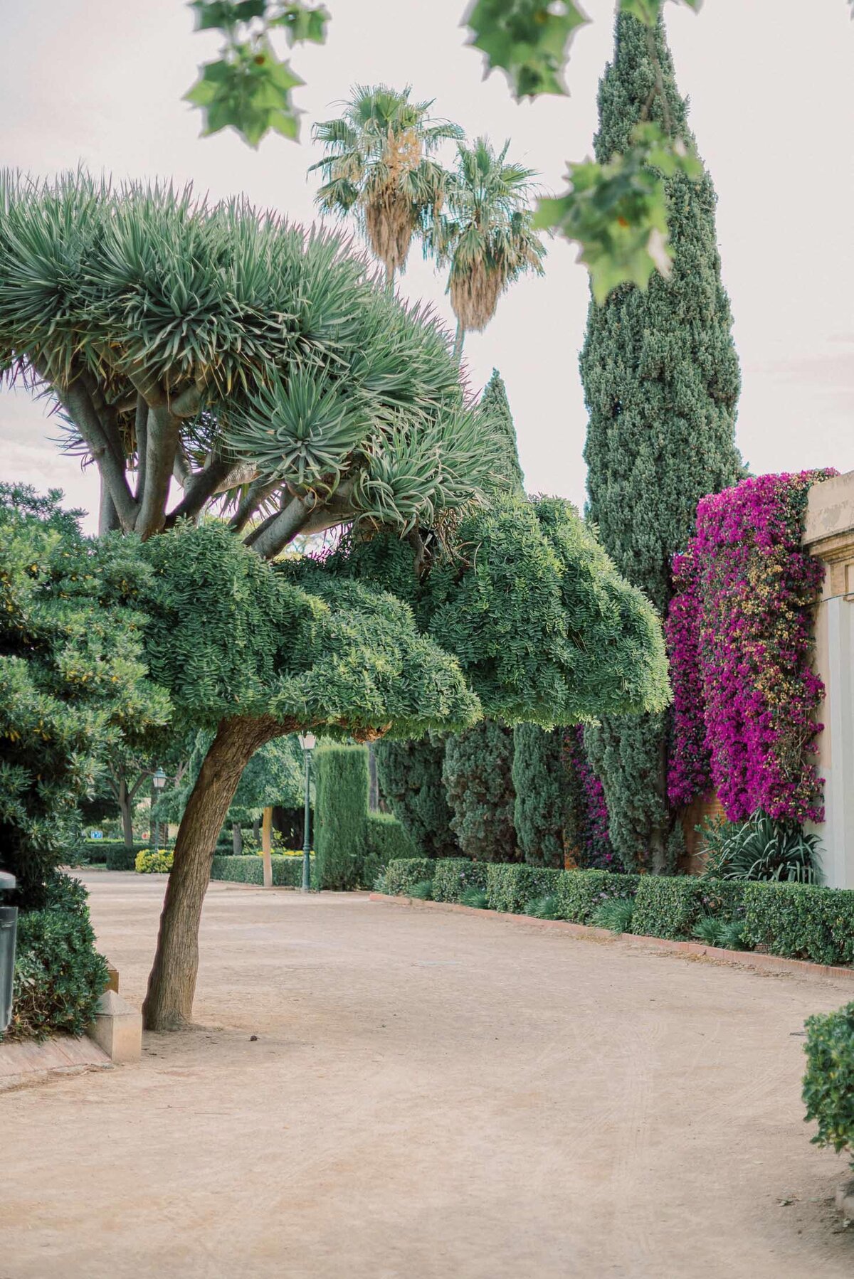 Vacation-Family-Photographer-Valencia-Viveros-Garden-2