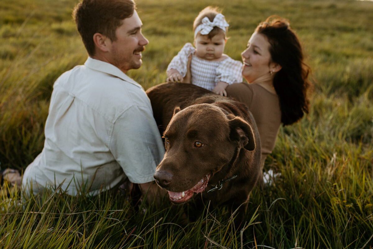 Documentary-style photo of a brown Labrador nestled between mom, dad, and their toddler, capturing a natural family moment.